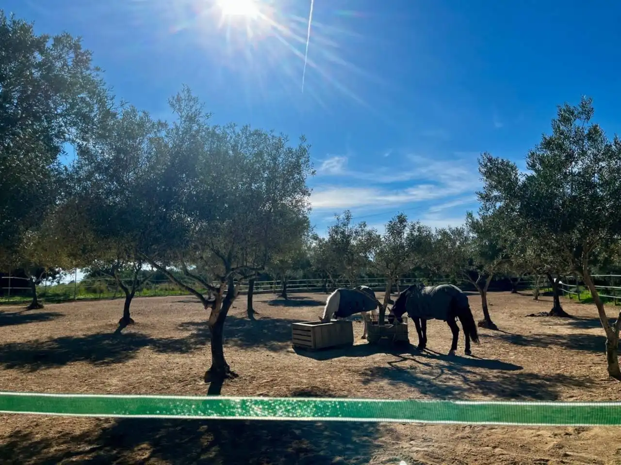 Vista exterior de Finca rústica en venda en San Jorge / Sant Jordi amb Calefacció, Jardí privat i Terrassa
