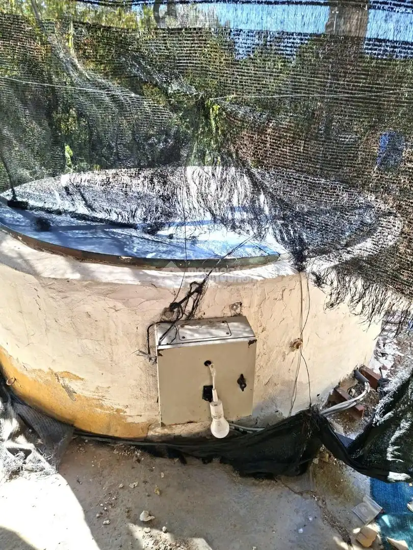 Piscina de Finca rústica en venta en Almensilla con Trastero