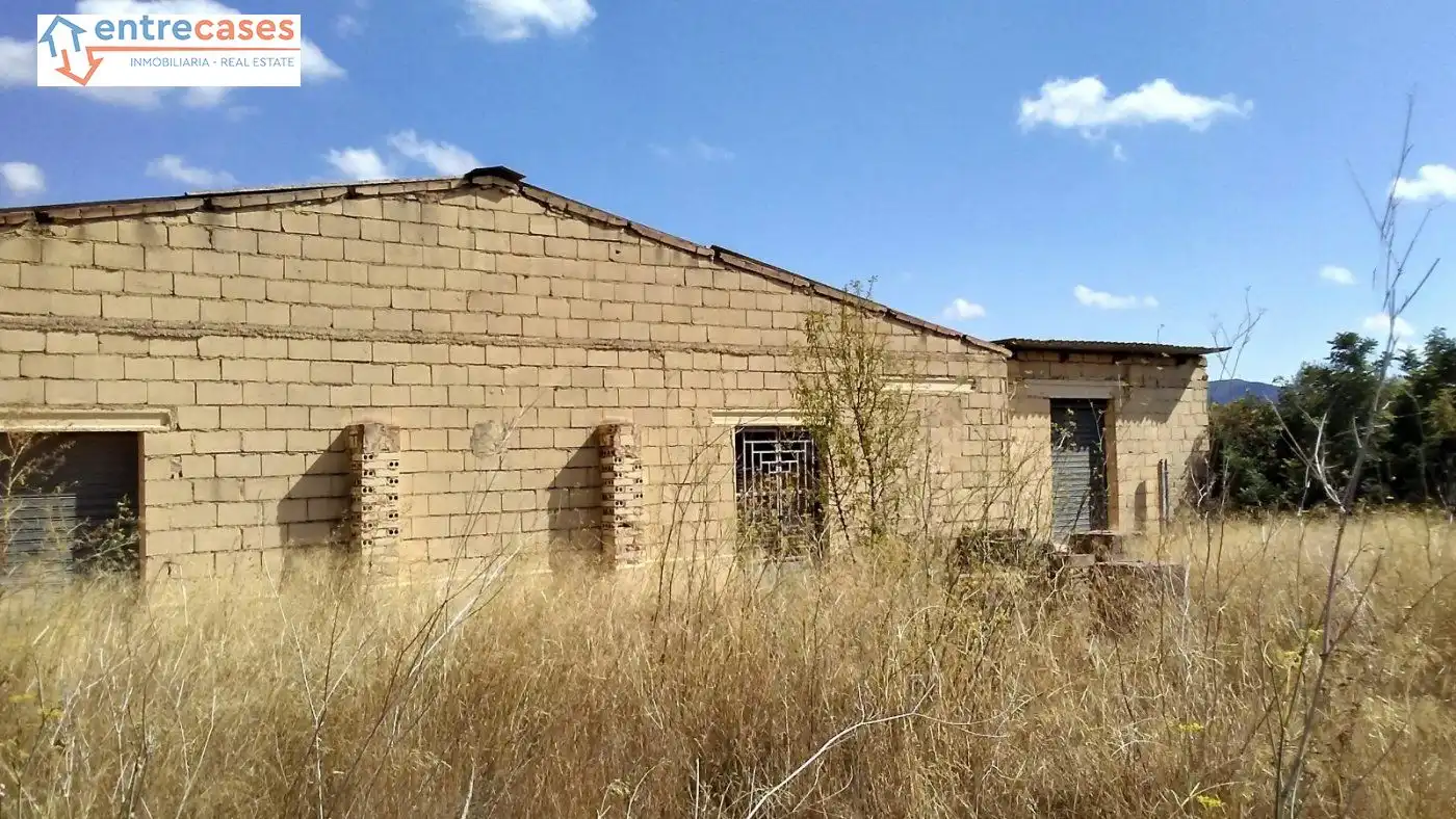 Rural land for sale in Albalat dels Tarongers, imagen 22