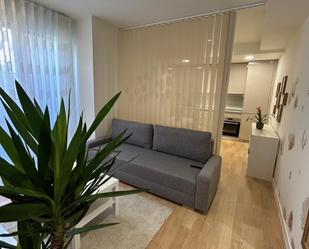 Living room of Flat to rent in  Madrid Capital  with Terrace and Swimming Pool