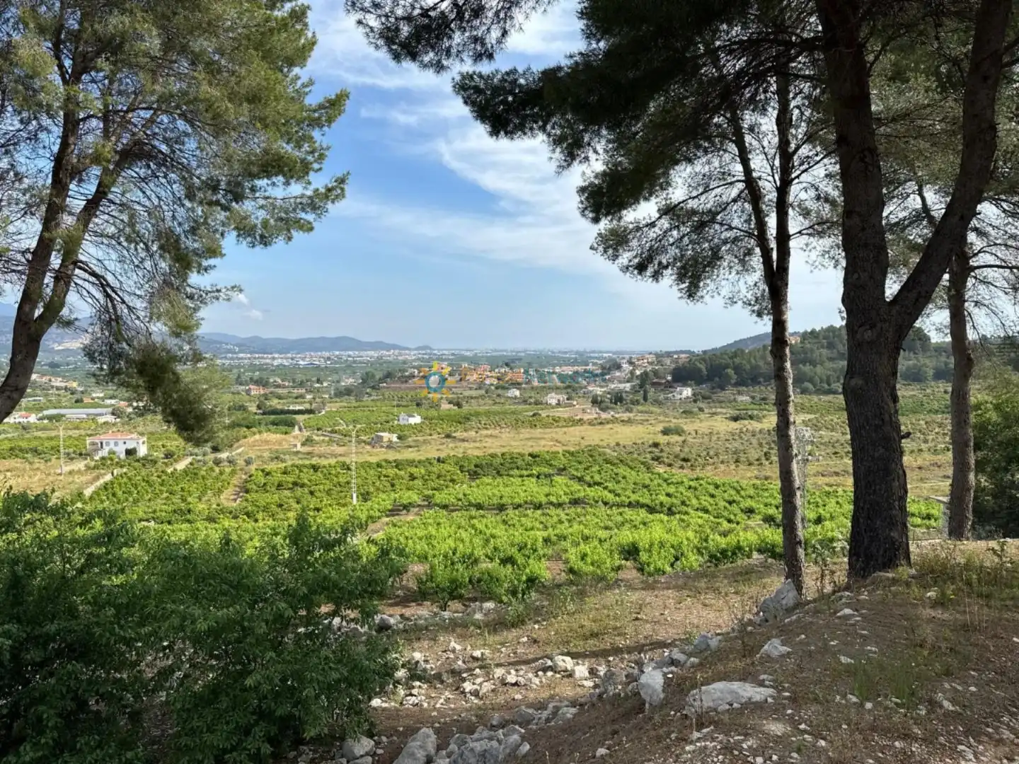 Terreny rústic en venda a La Font d'en Carròs, imagen 15