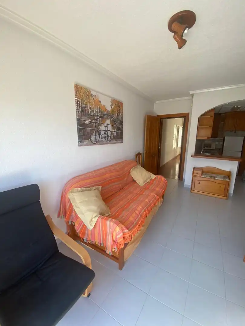 Living room of Apartments for rent in Guardamar del Segura  with Swimming Pool, Furnished and Washing machine