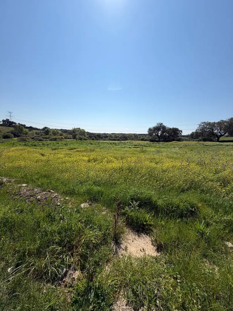 Terreno rustico in vendita a Malpartida de Plasencia, imagen 7