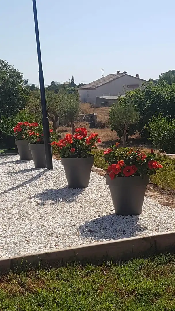 Detached house with terrace for sale in Perleta - Maitino, imagen 85