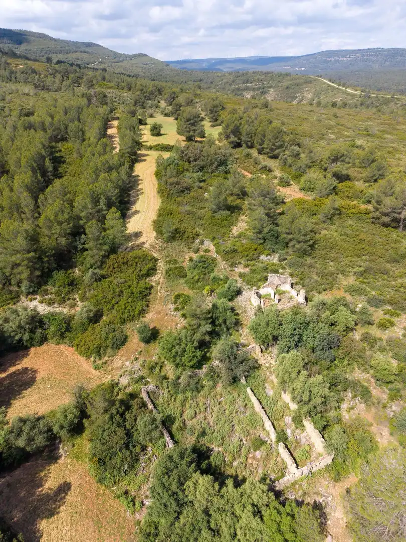 Maison rustique à vendre à Enguera, imagen 28