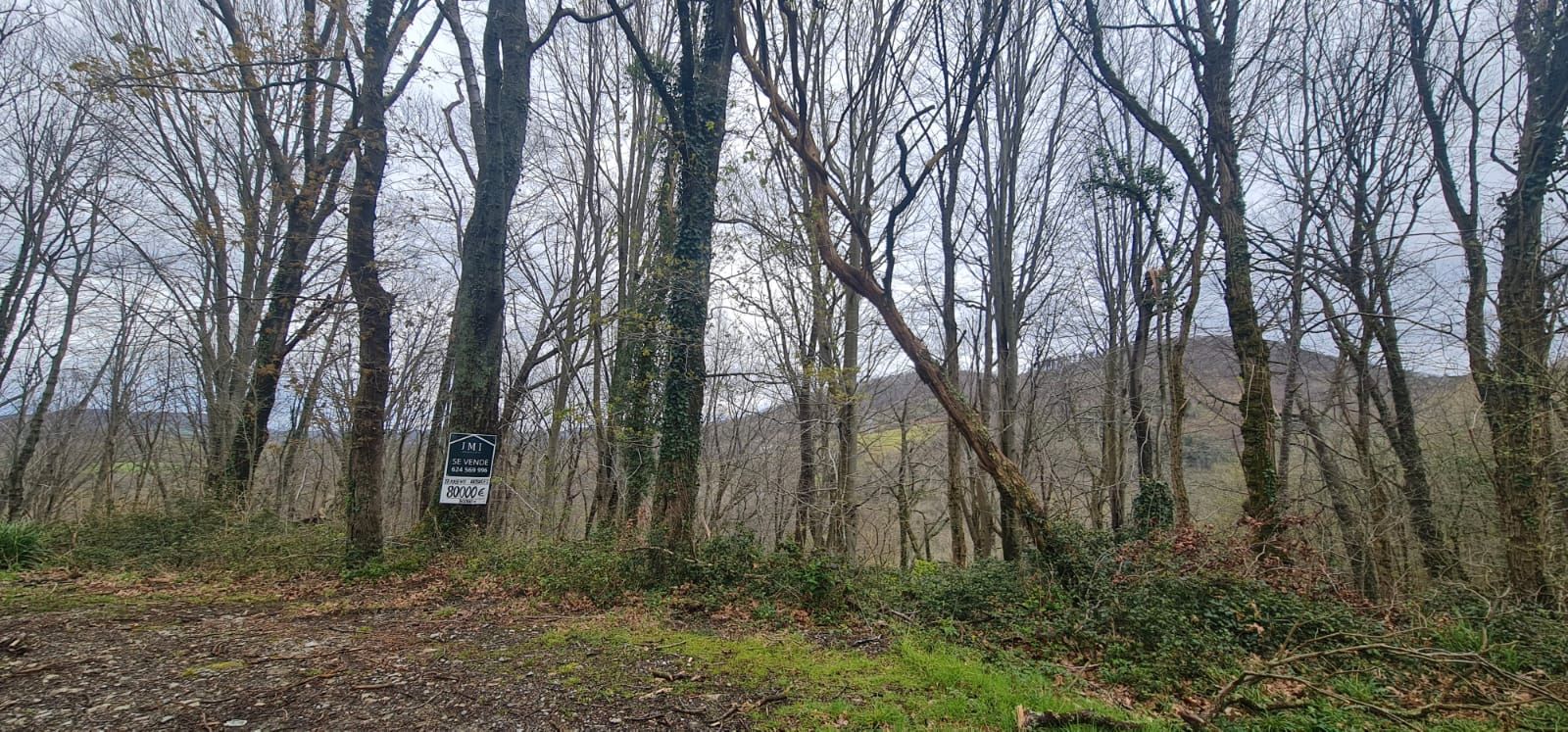 Exterior view of Land for sale in Errenteria