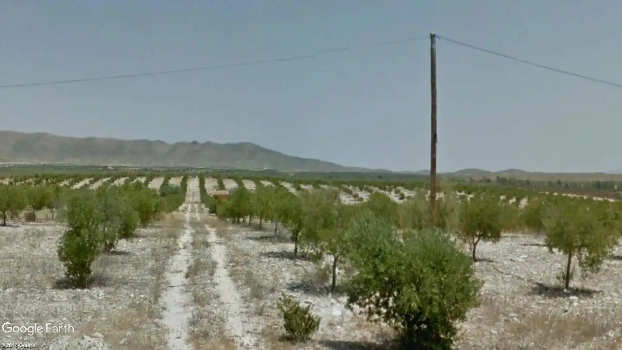 Terreny rústic en venda a Uleila del Campo, imagen 3