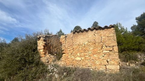 Finca rústica con maset en Calaceite, immagine 2