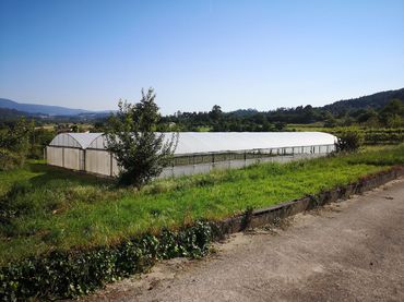 Terreno residencial en venta en Caldas de Reis