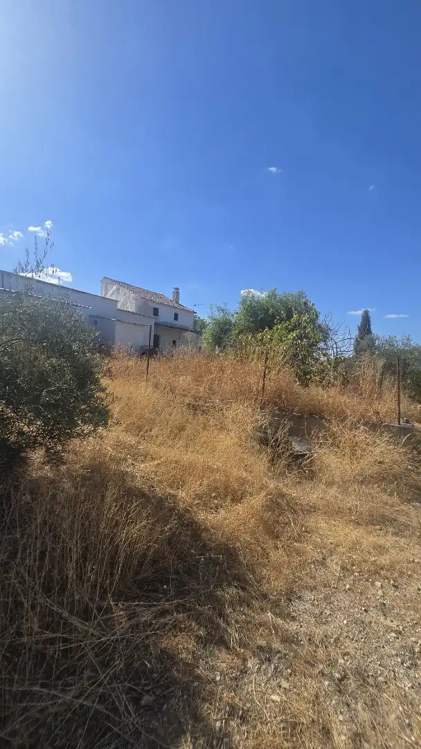 Terrain rustique à vendre à Las Vegas - Campoaras, imagen 15