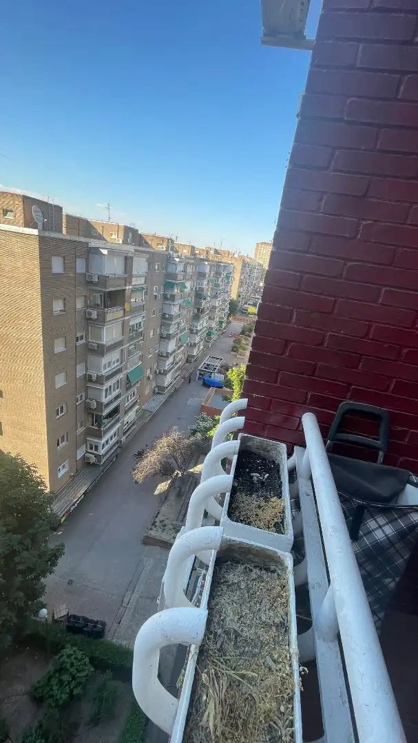 Wohnung zur Miete in Avenida de Moratalaz, Marroquina