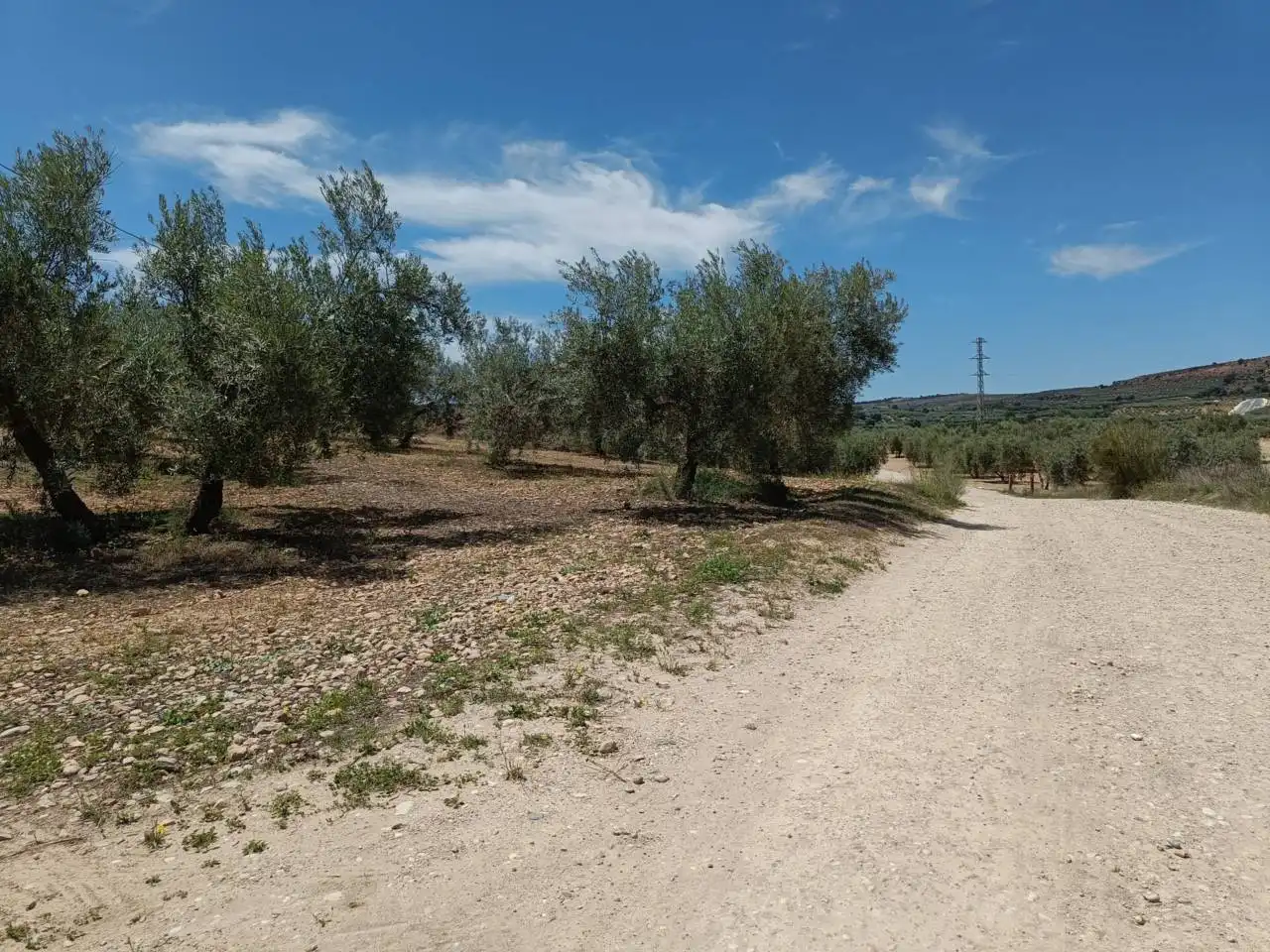 Country homes for sale in Moraleda de Zafayona  with Private garden, Swimming Pool and Furnished