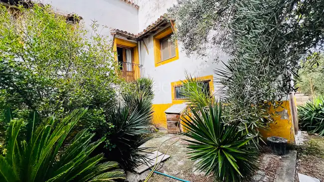 Vista exterior de Finca rústica en venta en Úbeda con Jardín privado, Terraza y Piscina