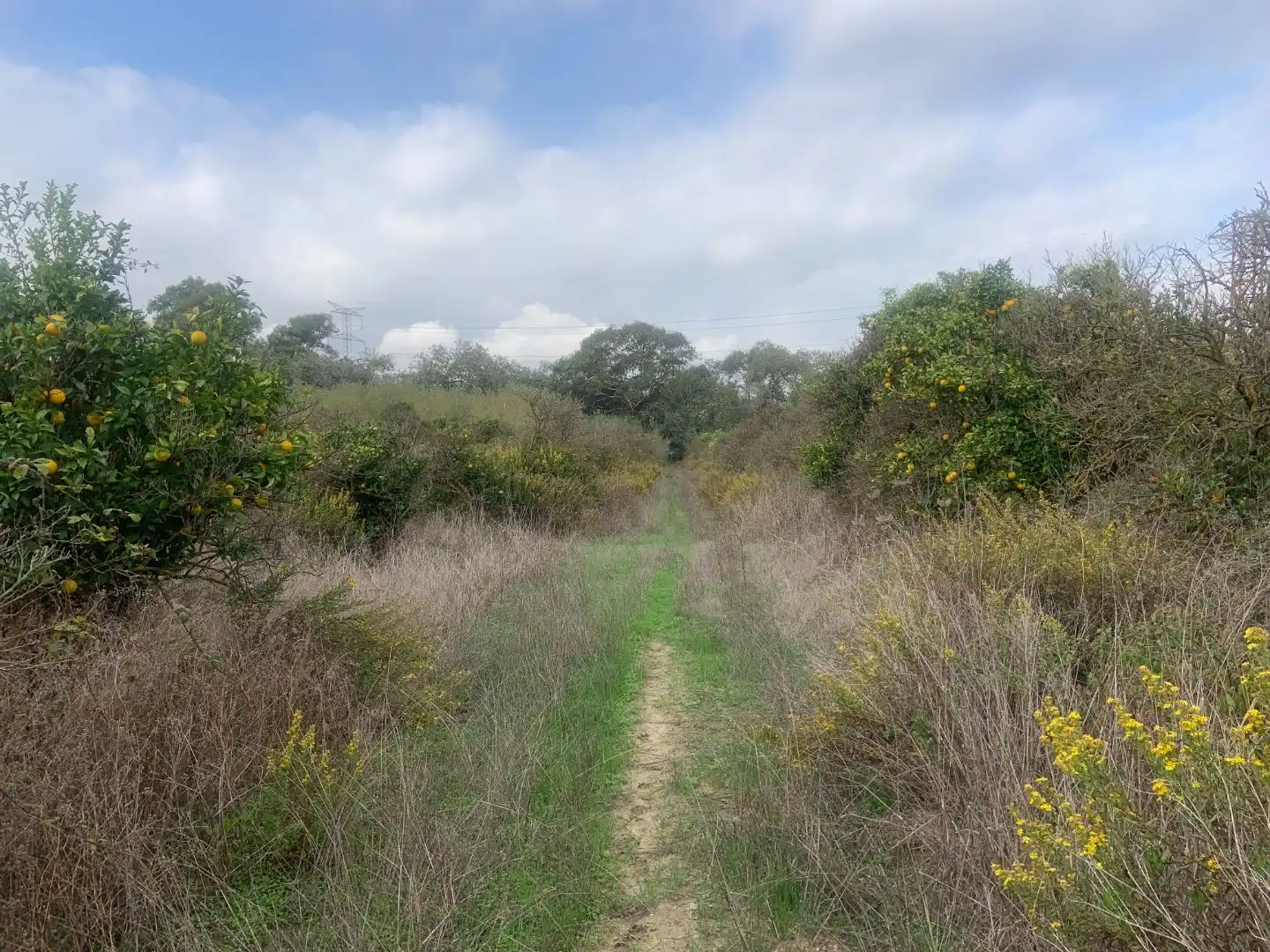 Terreno en venta en Casares