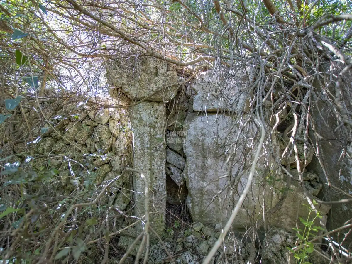 Casa rústica amb jardí en venda a Sant Climent - Es Canutells, imagen 48