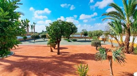 Foto 5 de Casa o xalet de lloguer a Cam. del Hondo, Catral, Alicante