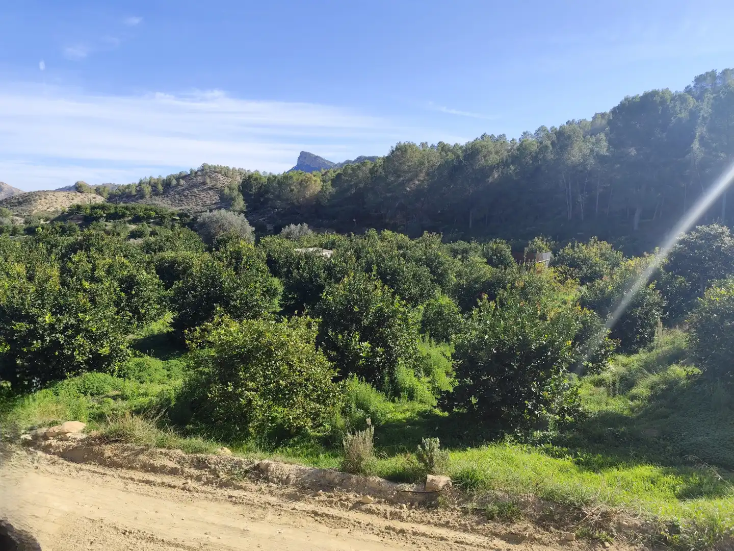 Terreny en venda en Murcia