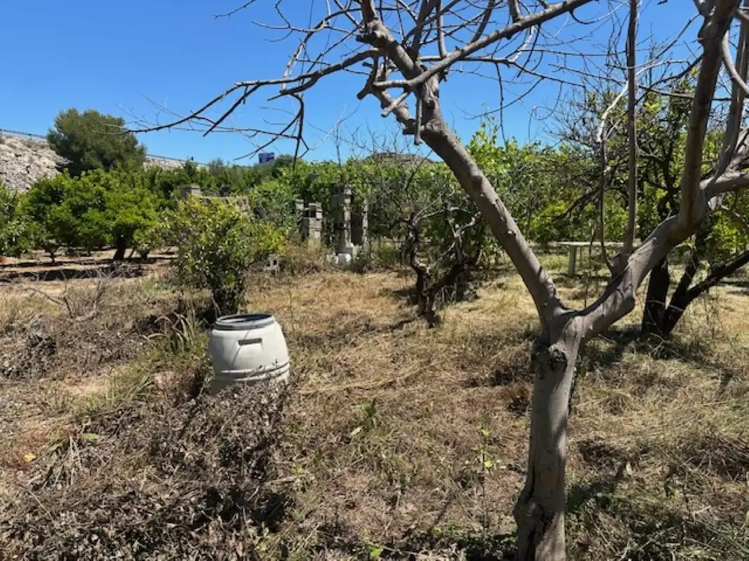 Terreno en venta en La Font d'en Carròs