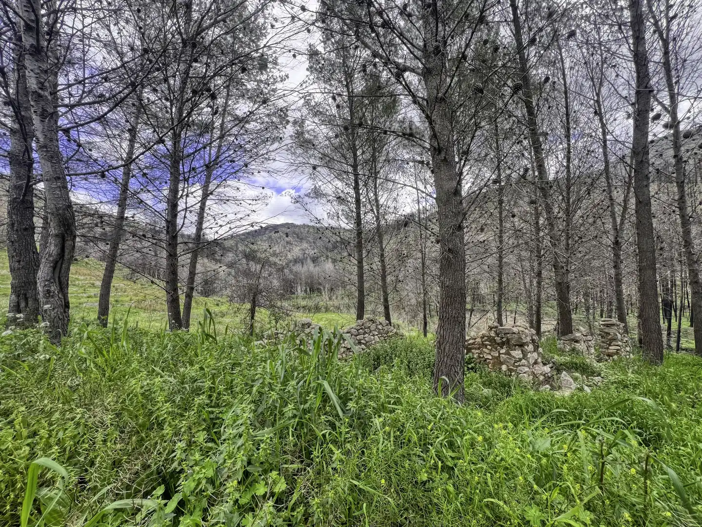 Residential for sale in Tàrbena