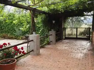 Terraza de Terreno en venta en Piedrabuena