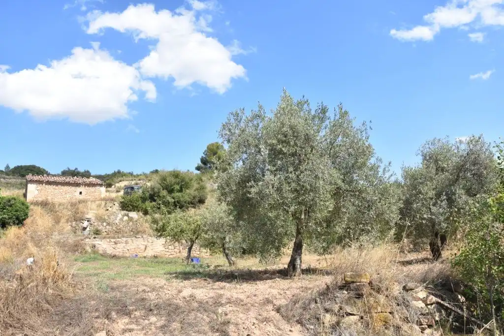 Terreni e lotti in vendita a Mazaleón, imagen 2