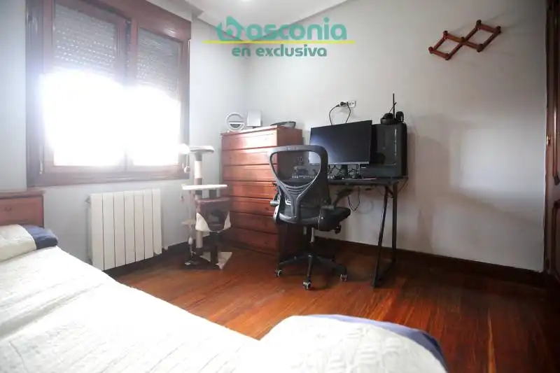 Appartamento con terrazza in vendita a Fauste Kalea, imagen 16