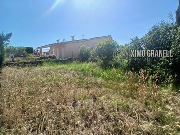 Terrenos y solares en venta en Nules
