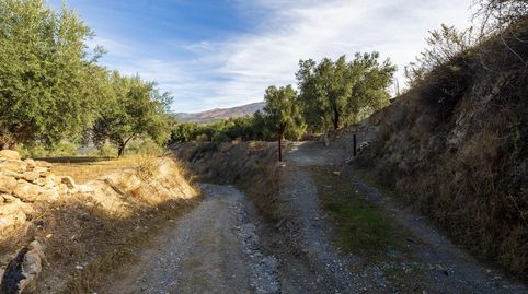 Photo 5 of Land for sale in Lecrín, Granada