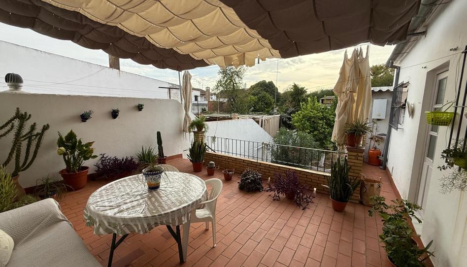 Foto 1 de Casa adosada en venta en Calle Alfareria, 27, Pilas, Sevilla