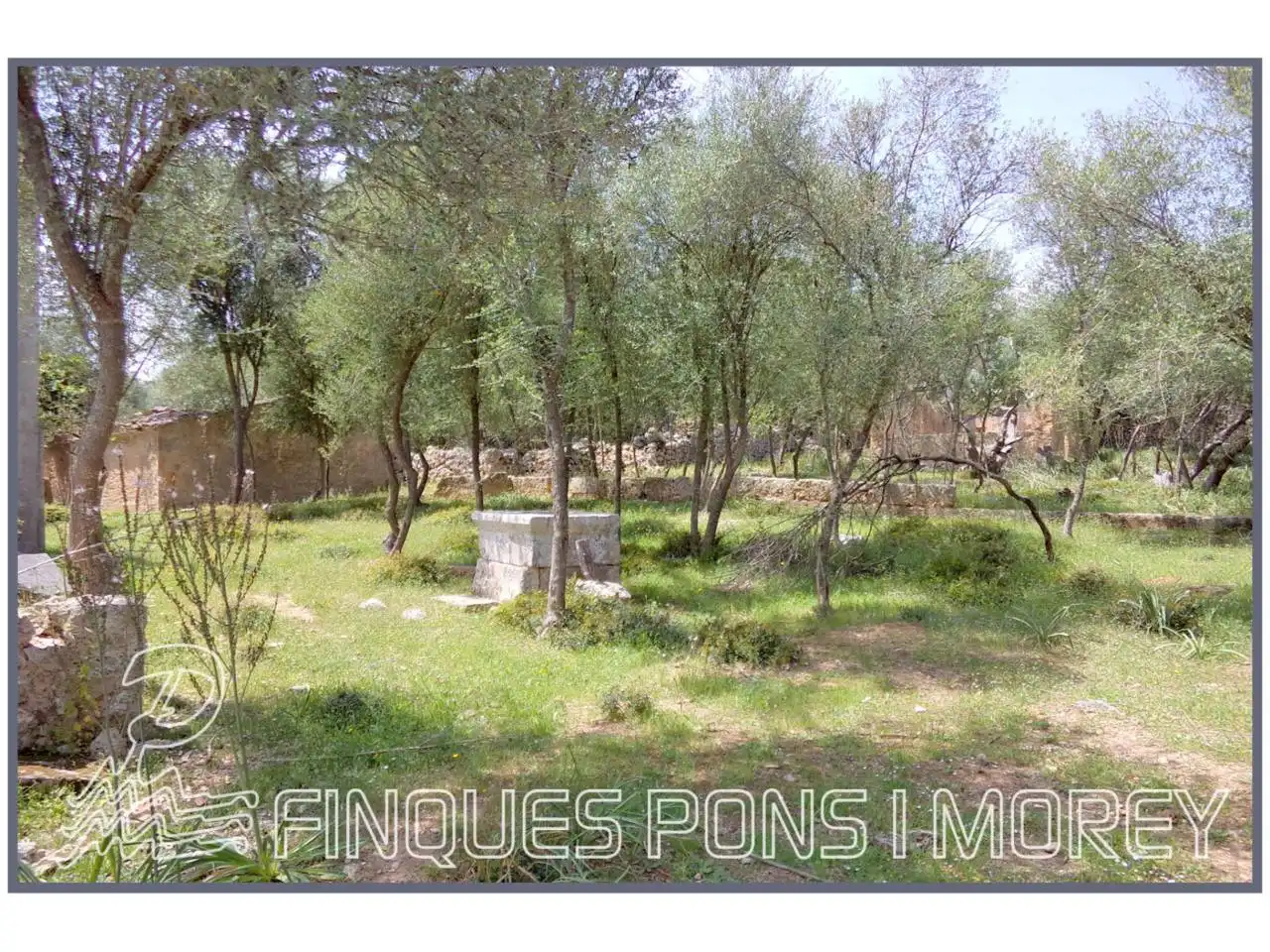 Rustikales Grundstück zum Verkauf in Camino Sta Magdalena sn, imagen 30