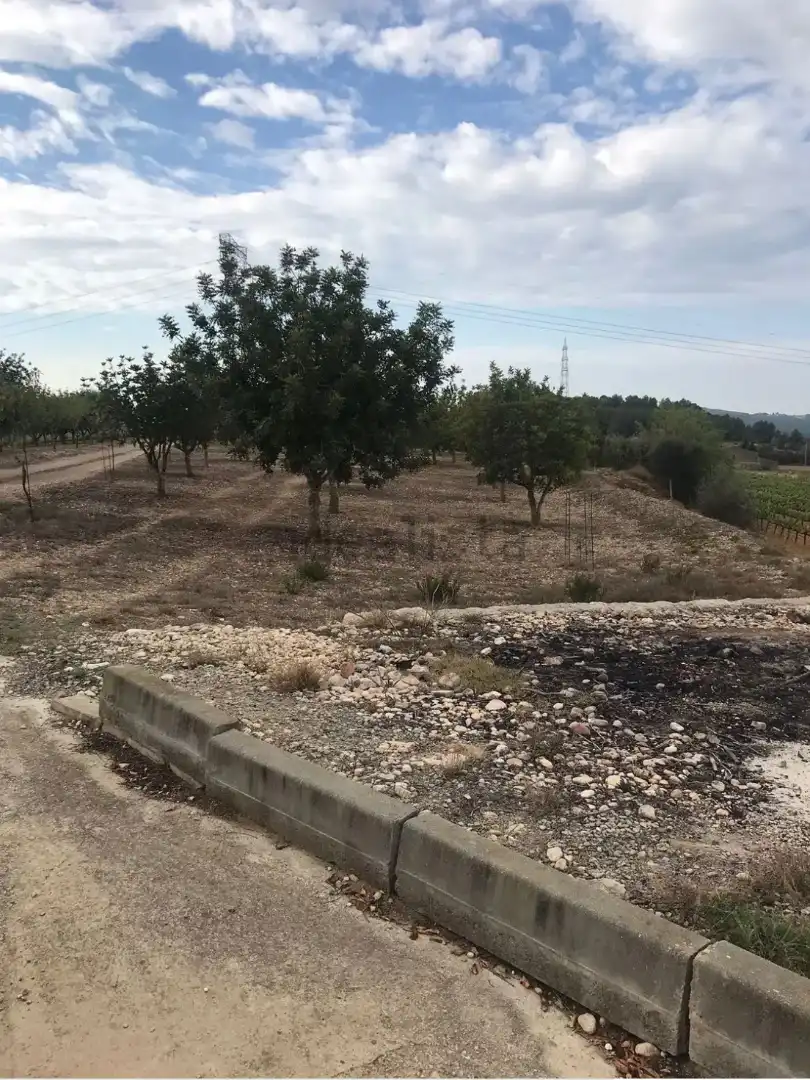 Finca rústica en venda a Carretera de Castellet, 114, L'Arboç