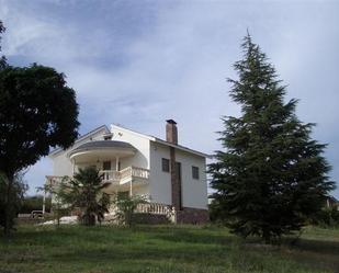 Vista exterior de Casa o xalet en venda en Valencia de Don Juan amb Aire condicionat, Calefacció i Jardí privat