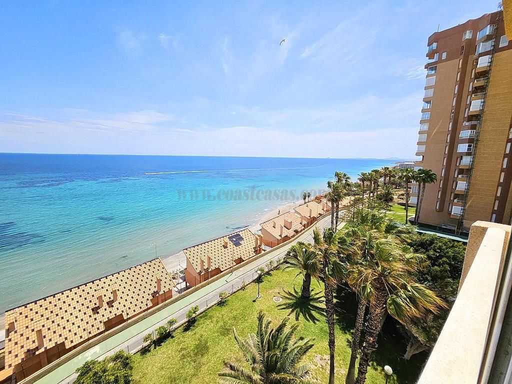 Vista exterior de Apartamento en venta en Orihuela