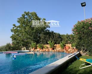 Swimming pool of Residential for sale in Almendral