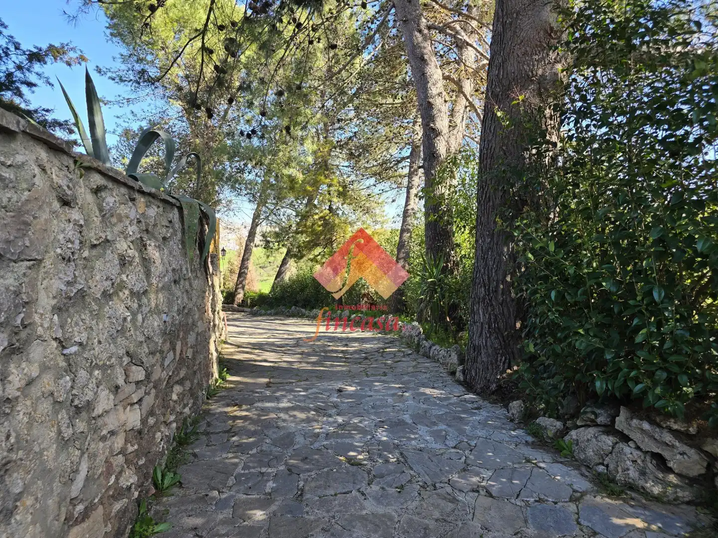 Vista exterior de Casa o chalet en venta en Ronda con Terraza, Trastero y Piscina