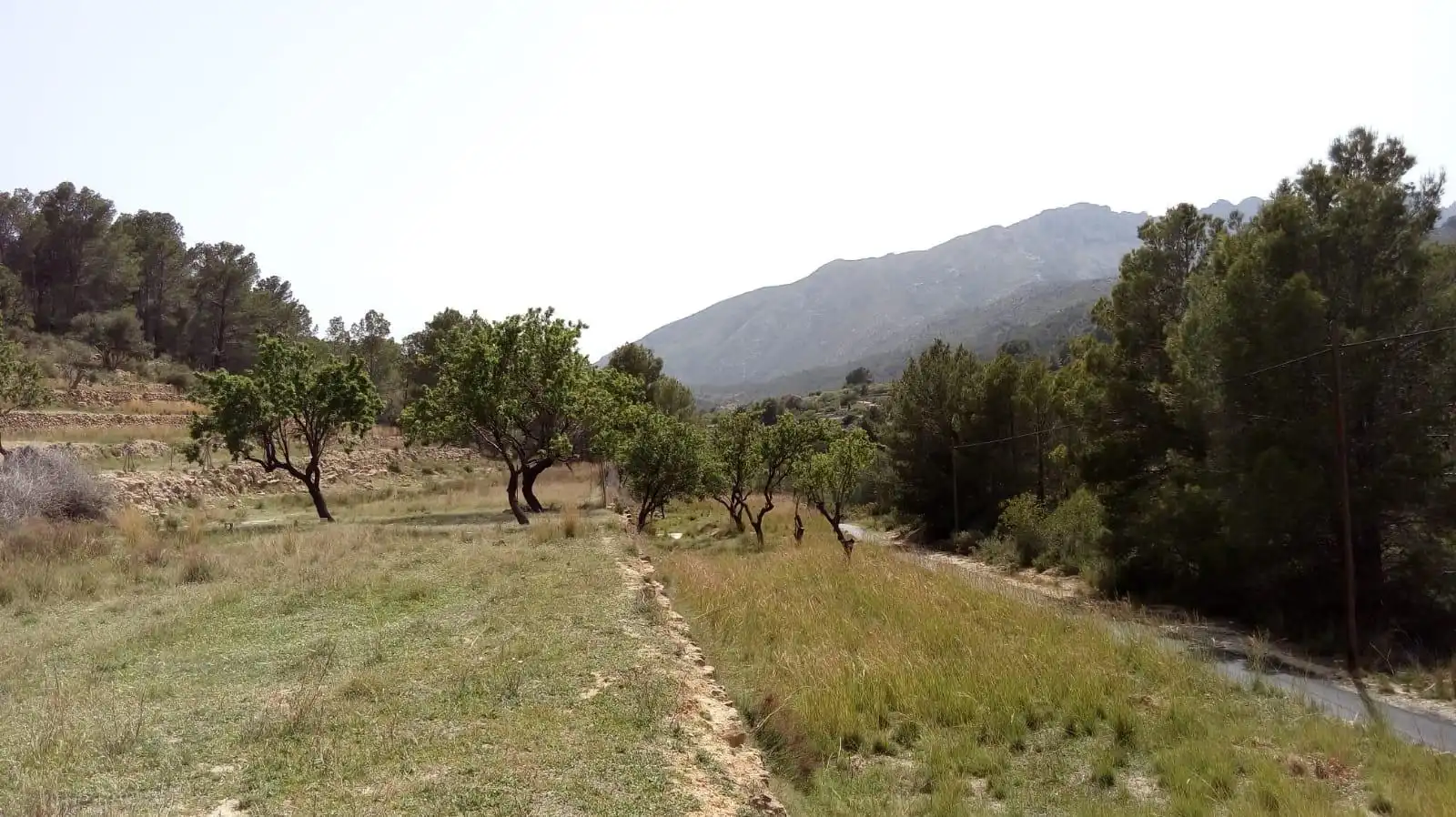Terrenys i solars en venda a Benissa pueblo, imagen 2