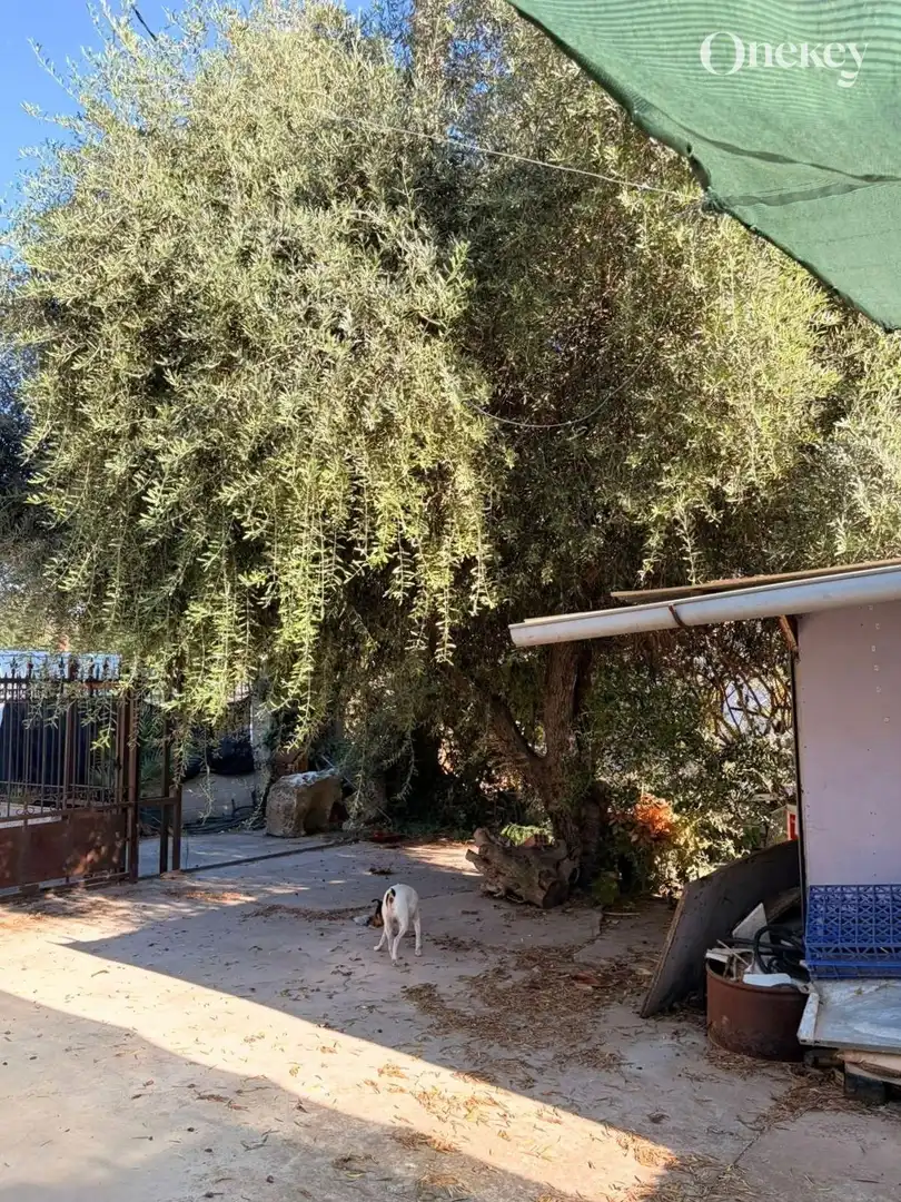 Jardín de Nave industrial en venta en Campo de Murcia