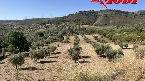 Puedes imaginarte en este bonito lugar? Rodeado de olivos  88 aprox con buenas vistas, en esta finca de secano con casi 11 marjale, immagine 4