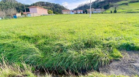 FINCA EDIFICABLE A 15 MINUTOS DE GIJÓN, CON AGUA DE TRAIDA Y LUZ EN FINCA, immagine 4