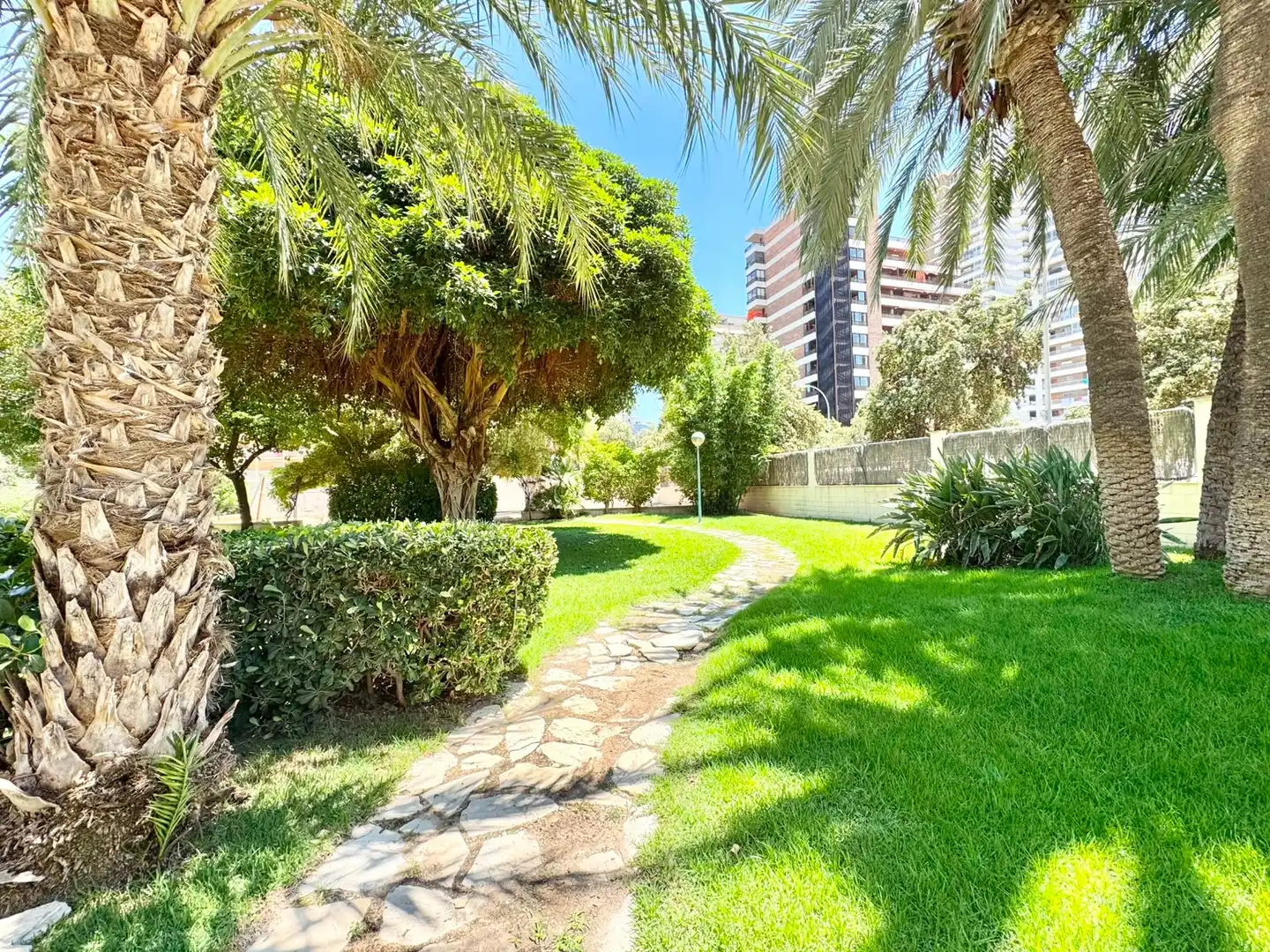 Mini appartamento con piscina in affitto a Playa de San Juan - El Cabo de las Huertas, imagen 14