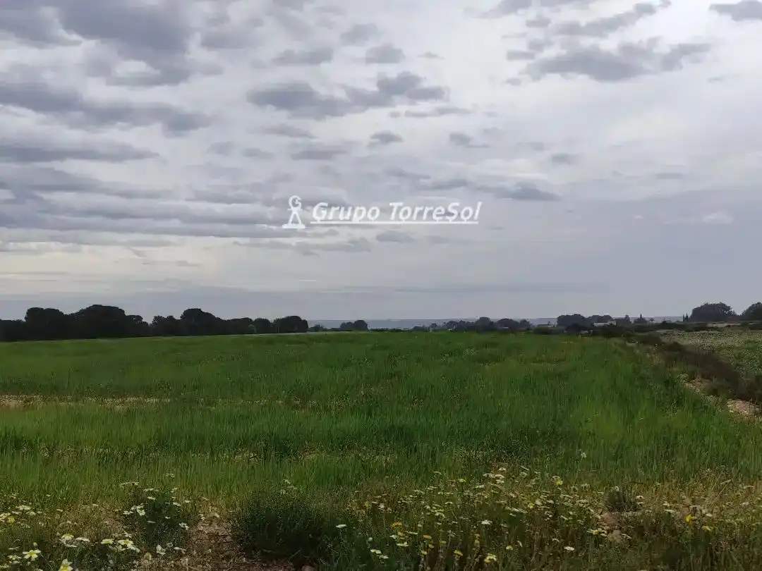 Terreno en venta en Elche / Elx