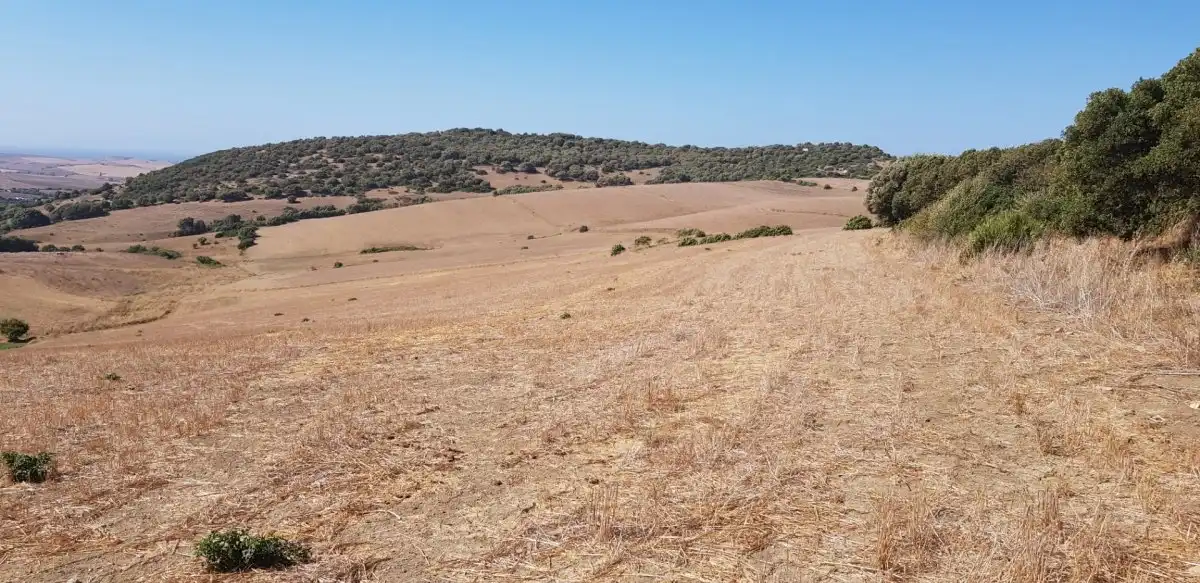 Terreny rústic en venda a Vejer, imagen 6