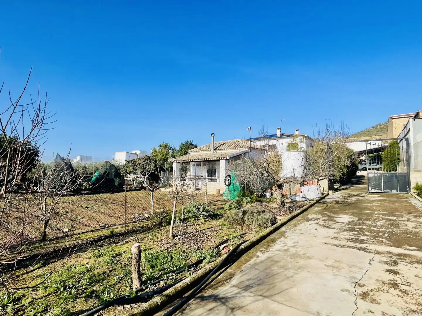 Vista exterior de Finca rústica en venta en Badolatosa con Jardín privado, Terraza y Piscina