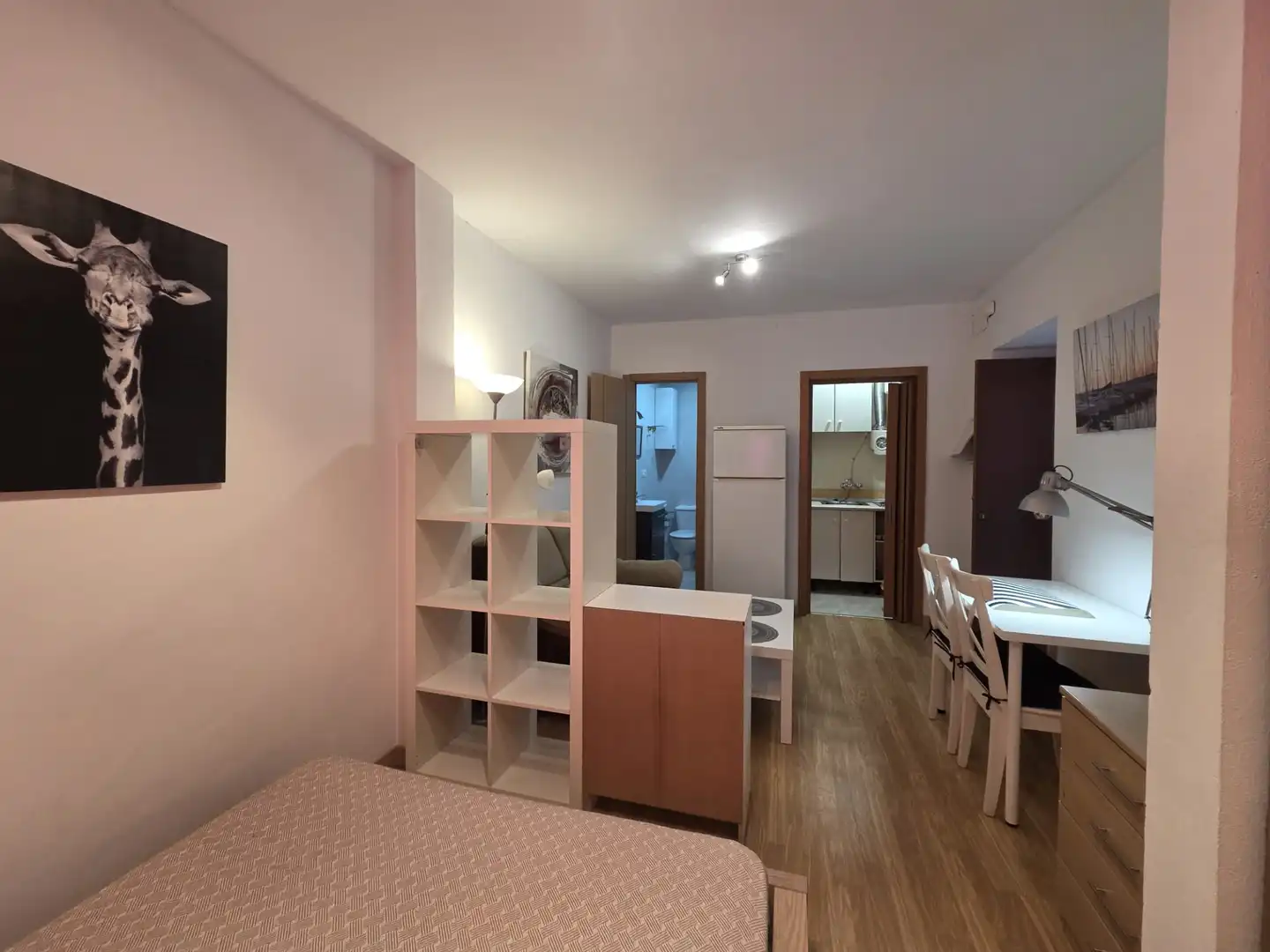 Study for rent in Plaza de Fortuny, 24, San Matías - Realejo