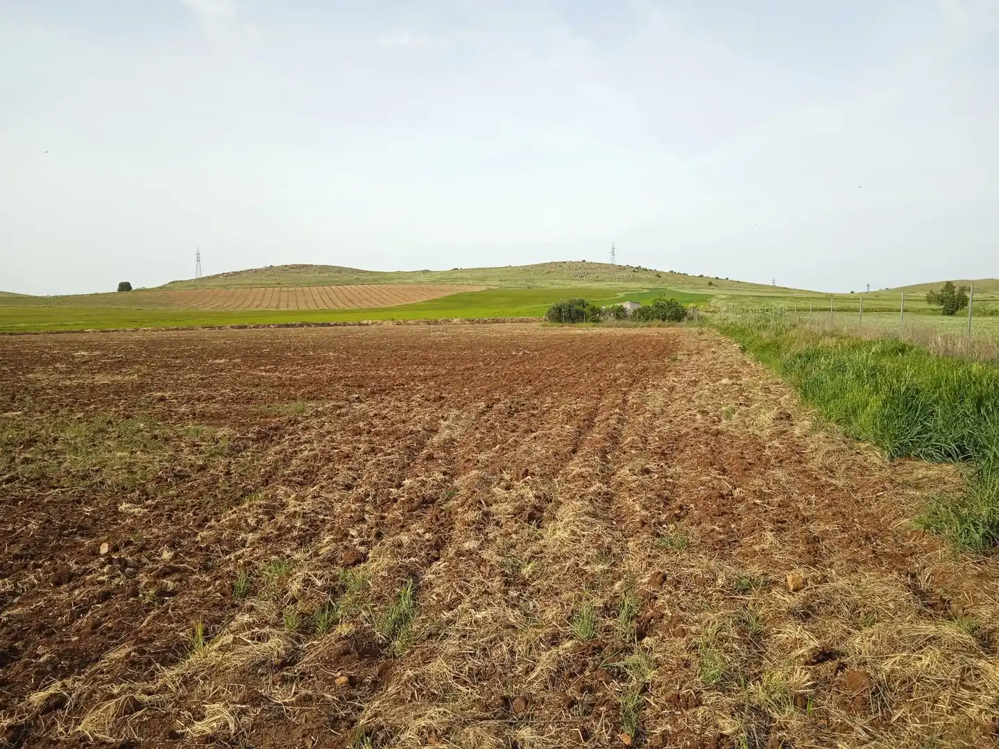 Grundstücke und Bauplätze zum Verkauf in Poblete, imagen 4