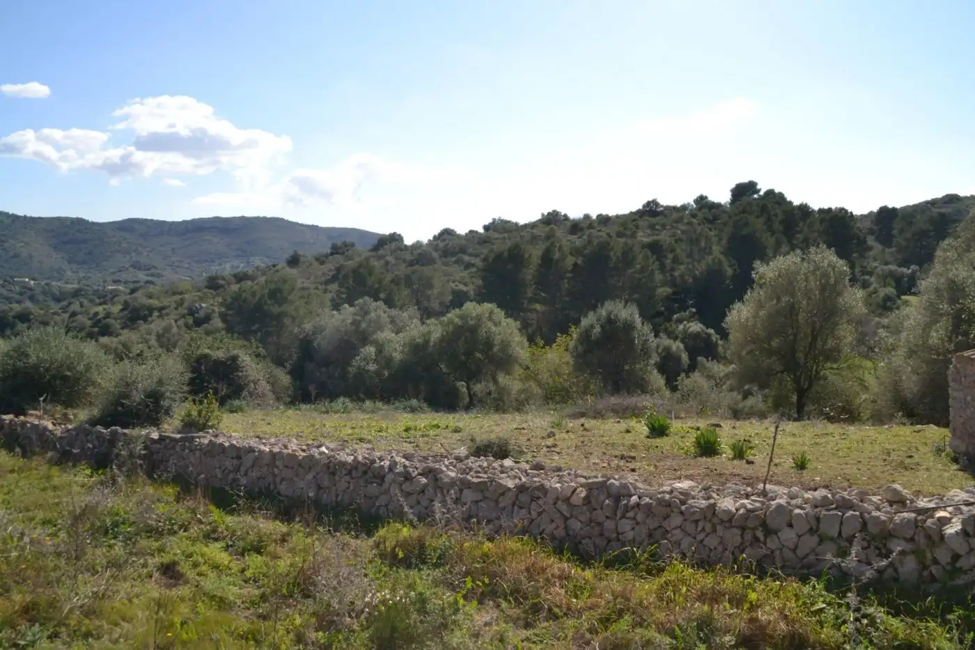 Casa rústica amb jardí en venda a Sant Llorenç des Cardassar, imagen 22