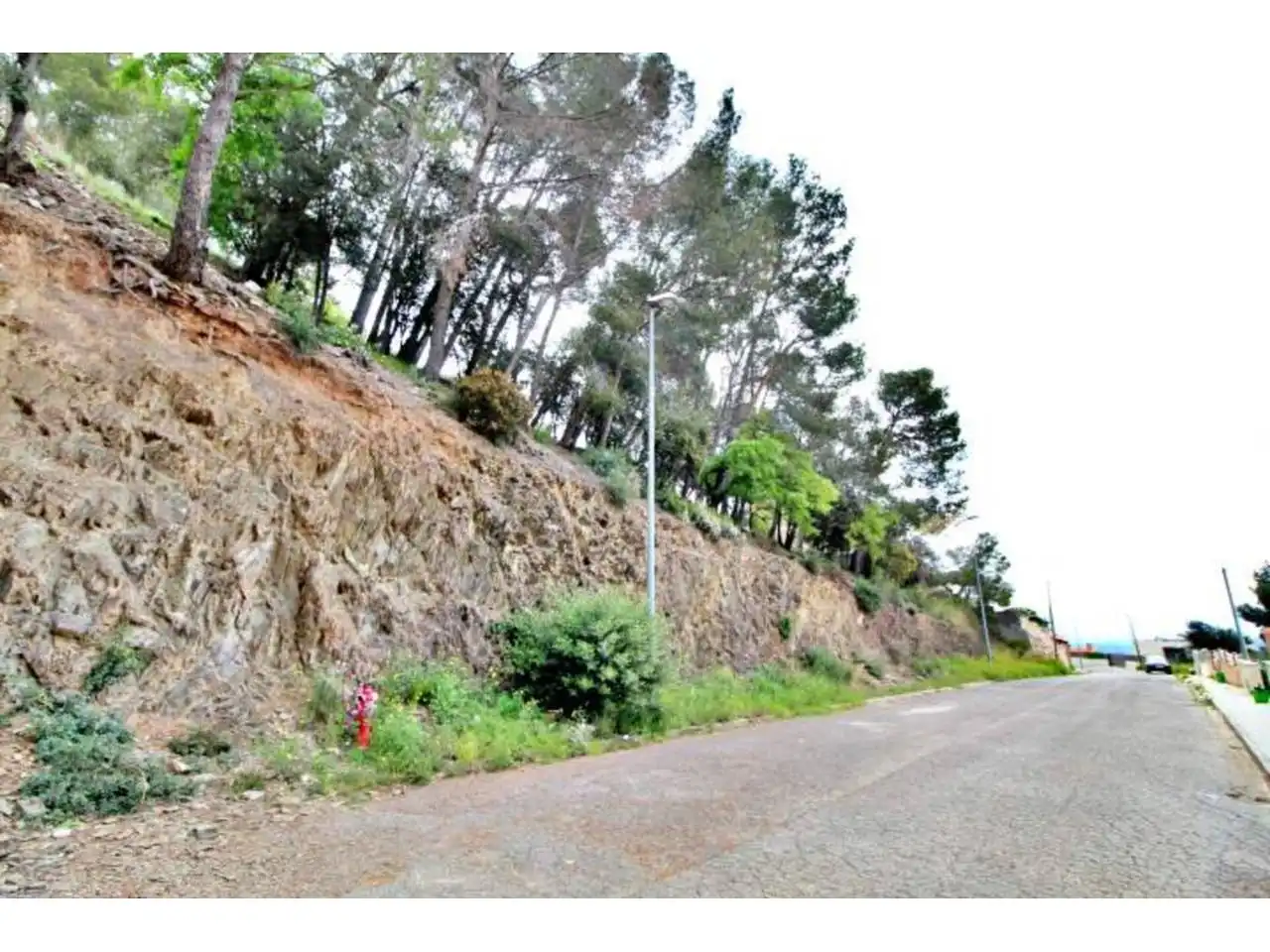 Rural land for sale in Calle Llosa, imagen 8