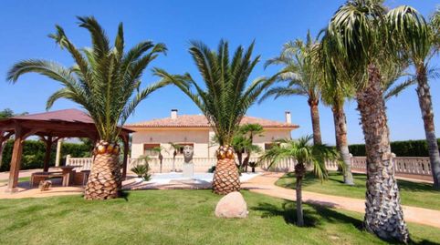 Foto 2 de Casa o chalet en venta en Pedanías Oeste, Aspe