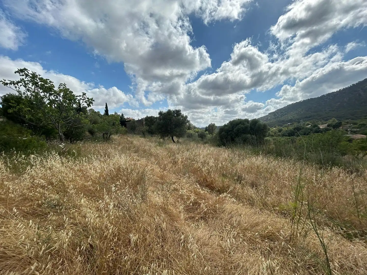 Casa o chalet en venta en Alaró con Jardín privado