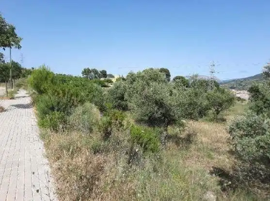 Lands and plots for sale in Partida SECTOR SOLANA 1, imagen 5